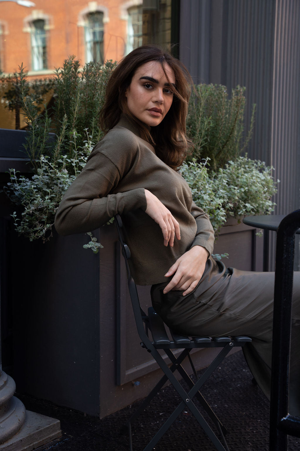 olive branch